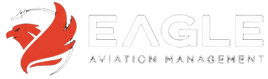 Eagle Aviation Logo